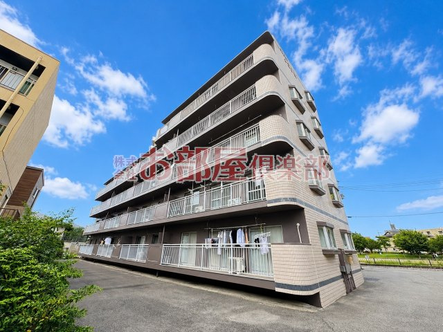 シェル幹