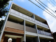 ゼルコバール赤堤の画像