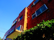 ブラウンハイツの画像