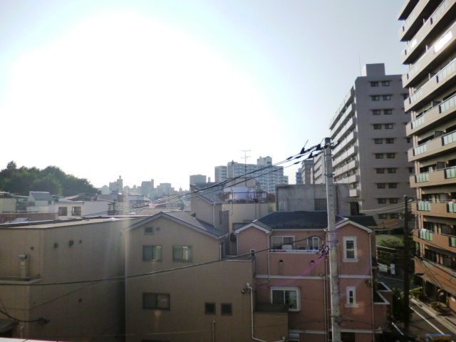 ブリヤン駒込の展望