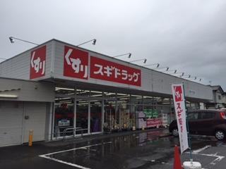 ガーデンハイツの周辺|ドラッグスギ西片貝店まで1,075ｍ