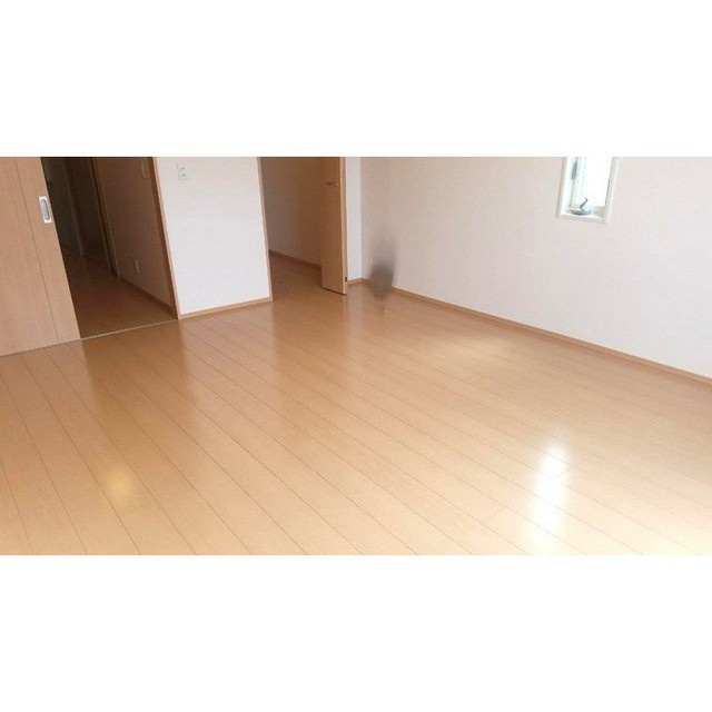 岐阜市岩地１丁目のアパートの内装
