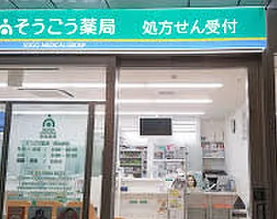 リビオレゾン南池袋の周辺