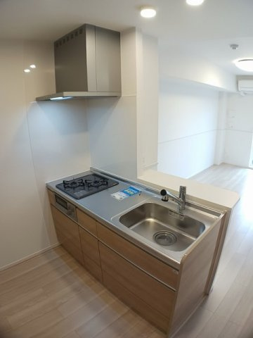 菊池郡菊陽町大字久保田の賃貸マンションのキッチン|きれいなキッチンです