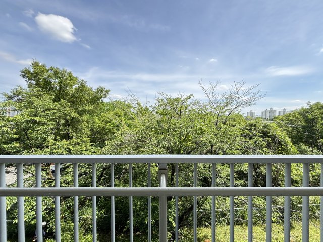 窓の外に広がる豊かな緑と綺麗な青空、眺望がとっても素敵なお部屋です！