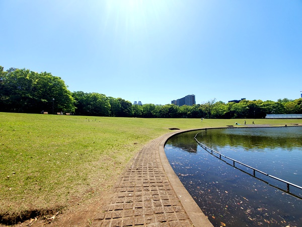 多摩中央公園
