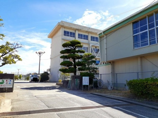 【周辺】 | プラシードＢ | 緑丘小学校まで740m