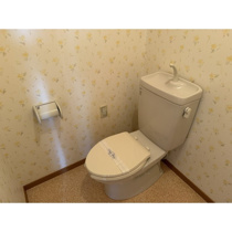 落ち着いた色調のトイレです