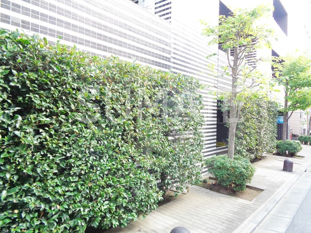 グラントゥルース東十条のその他|植栽です！