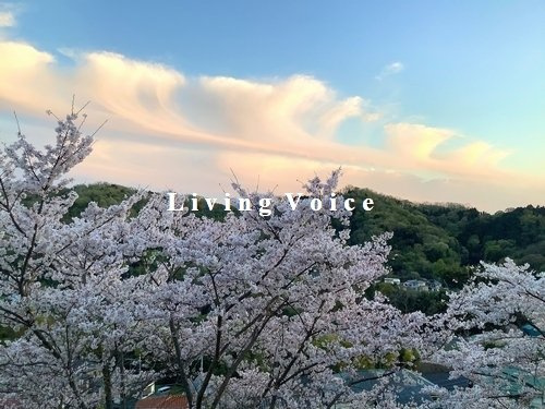 【展望】 | 渋沢小田急ハイツ2号棟　4階 | 売主撮影　渋沢小田急ハイツ2号棟　4階
