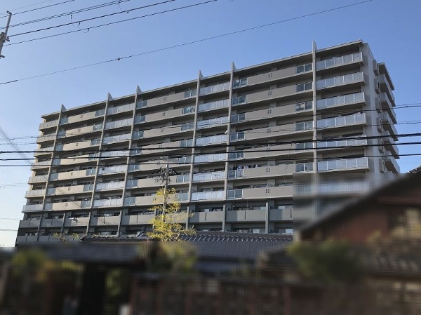 レックス・フェスタ野洲の外観