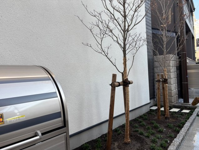 Ｔｅｒｒａｚａ　Ｍｉｓｈｕｋｕのトイレ