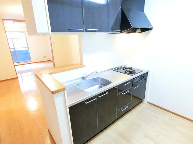 Ｃａｓａ　Ｄｅｌ　Ａｍｕｚａのキッチン|★グリル付きガス２口システムキッチンです★