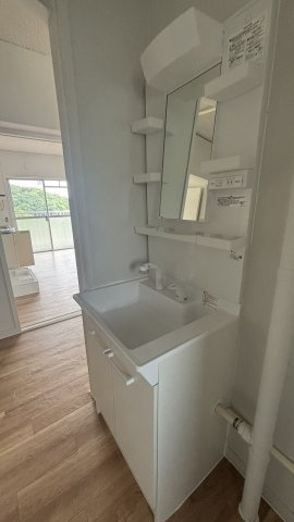 ドミールサニー下松第2の洗面所