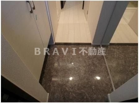 レオンコンフォート本町東Ⅱ　BRAVI不動産の玄関|【レオンコンフォート本町東Ⅱ】落ち着いた玄関です