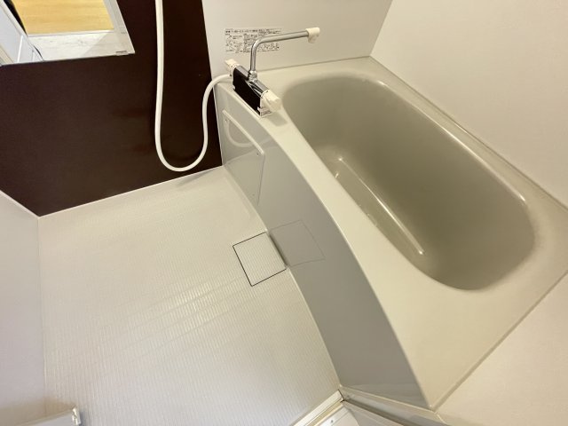 RIZE柏たなかⅠの浴室