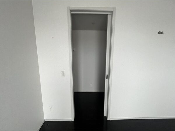 The Kitahama（The Kitahama Tower）ザ北浜タワー　BRAVI不動産の収納