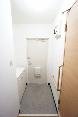 【玄関】 | アイランド翼B | ※同物件・同タイプの写真です。