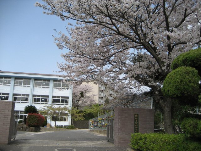ヴェルデヒルズ中央公園の周辺