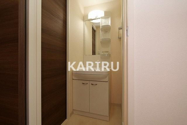 Luxe緑橋の洗面所