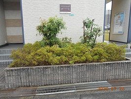 レオパレスＨ＆Ｙのその他