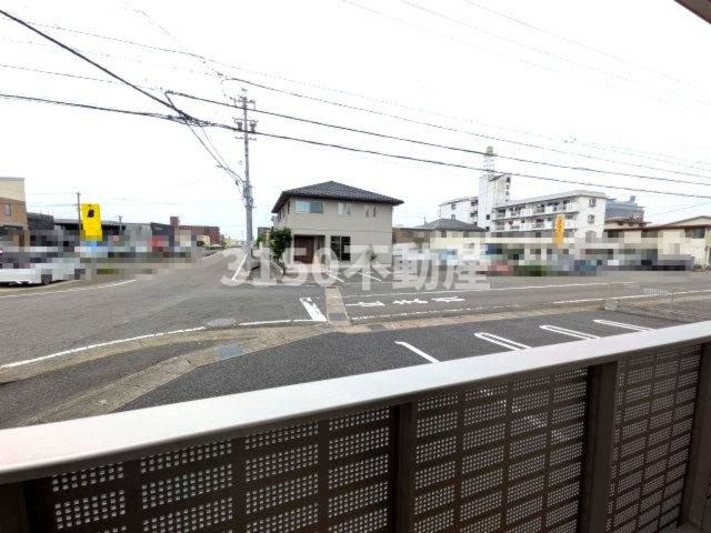 カメリア・ウサの展望