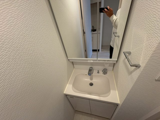 エスレジデンスサカイスジホンマチデウスの洗面所