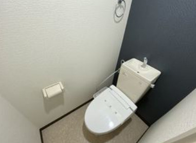 ローズハイツ日本橋浜町のトイレ|落ち着いた色調のトイレです