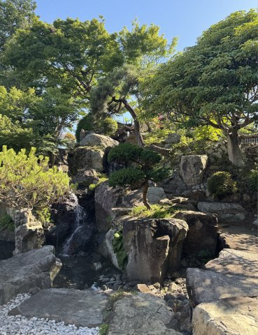 宇都宮市西原町196-5,-29,30のその他
