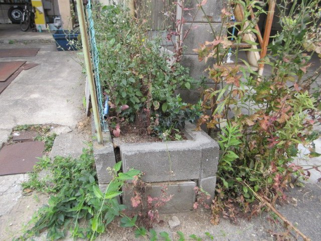 八尾市太田新町４丁目の工場