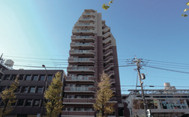 ミオカステーロ武蔵小山
