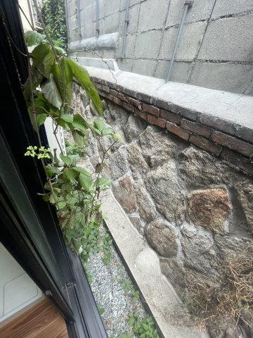 ＳＴの庭