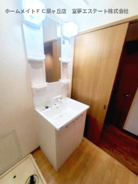 龍の樹マンションの洗面所