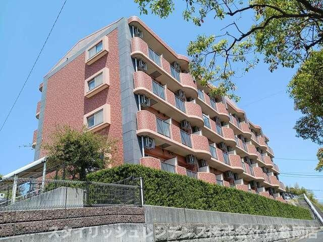 ハミングバード上吉田