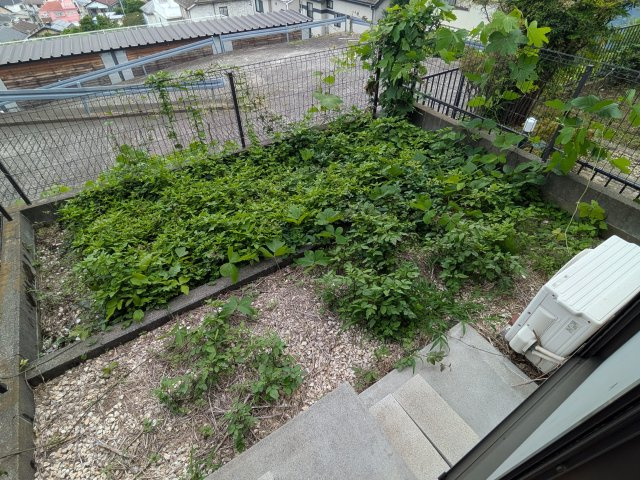 ハイツコスモスの庭
