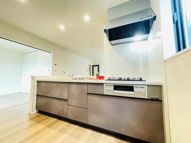 豊田市野見山町　新築分譲住宅　全1棟　1号棟のキッチン|使い勝手の良いシステムキッチン。