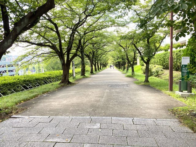 マンション隣接遊歩道