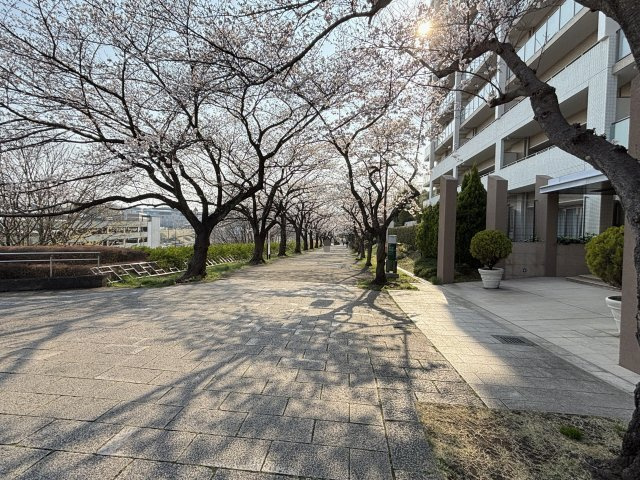 マンション隣接遊歩道、2026年3月撮影