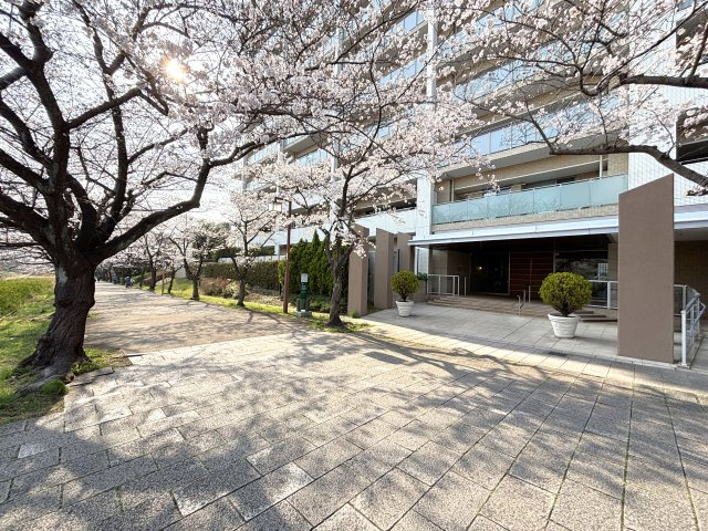マンション隣接遊歩道、2026年3月撮影