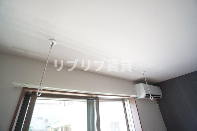 サクラノキタのその他