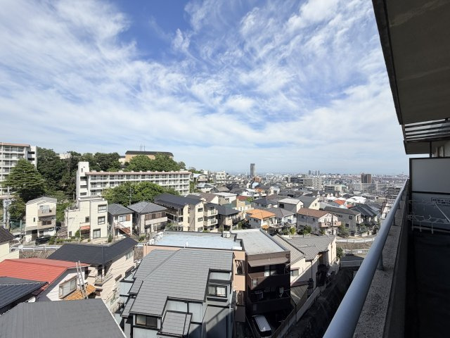 デュコムワイズの展望