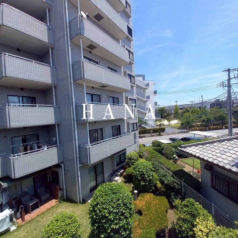 カーム　カモミールの展望