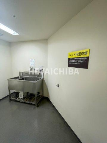 ステーションプラザタワーのその他共用部分|ペット用足洗い場