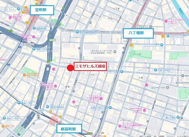 ミモザヒルズ銀座の地図
