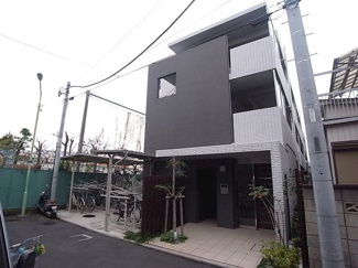  | Root White Ⅲ