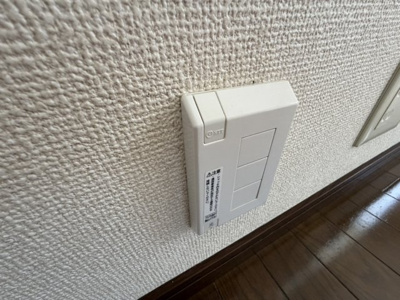 【その他】 | キュート
