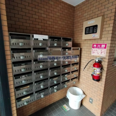  | シロハイヌ吉田