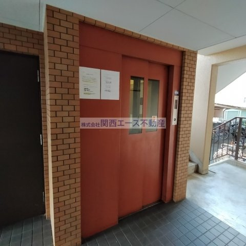 | シロハイヌ吉田