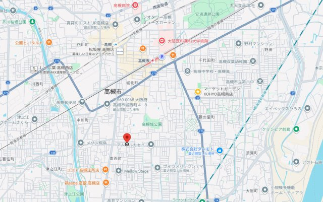 アイビーコート 城南の地図