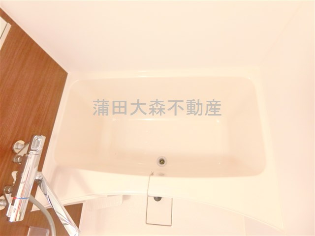 ディアレイシャス蒲田Ⅱの浴室